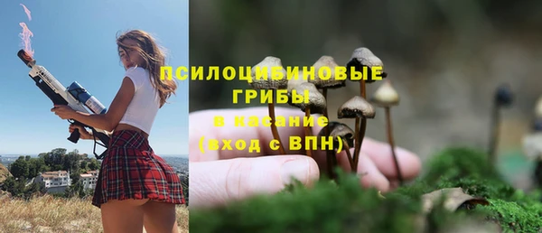 ешки Грязи