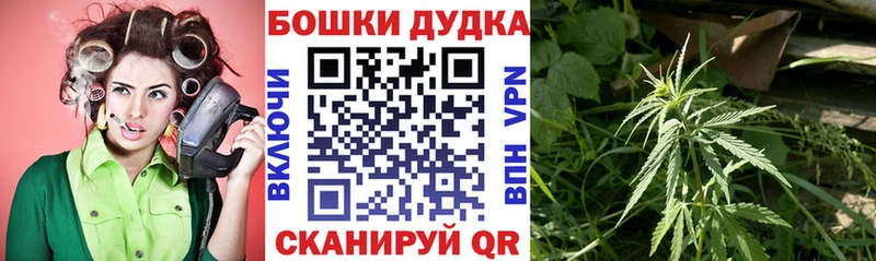 МЕГА ССЫЛКА  дарк нет какой сайт  Марихуана сатива  Первомайск 
